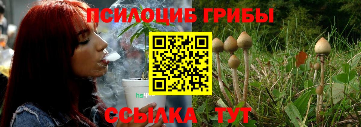Псилоцибиновые грибы MAGIC MUSHROOMS Минусинск